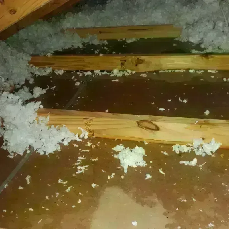 Attic Water Damage in Elma Center, NY