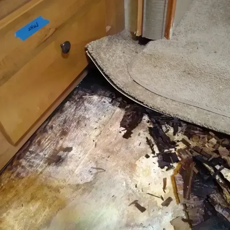 Best Wood Floor Water Damage Service in Elma Center, NY